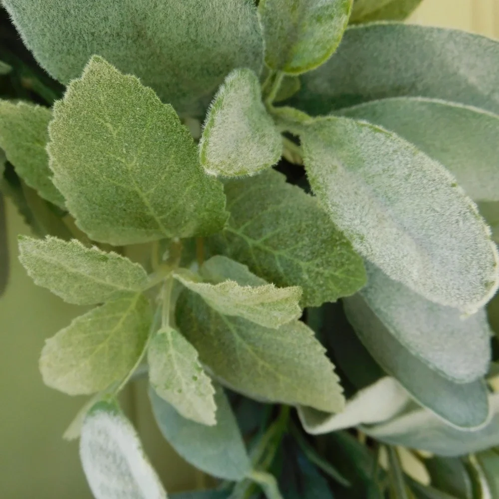 Lambs Ear‎ Wreath for Front Door, Spring Summer and Fall, Soft muted color